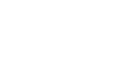 Q&A